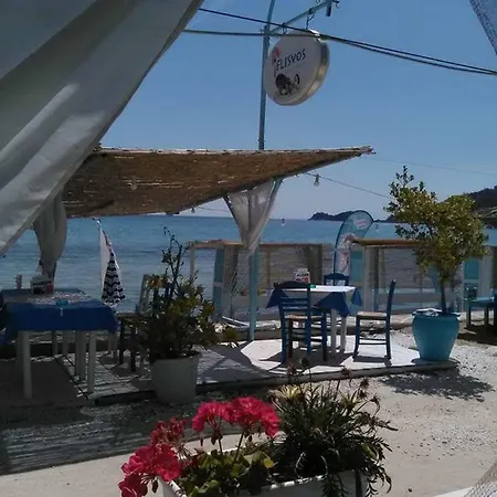 Vangelis 斯卡拉伯塔麦斯