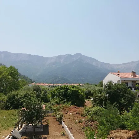 Vangelis 斯卡拉伯塔麦斯