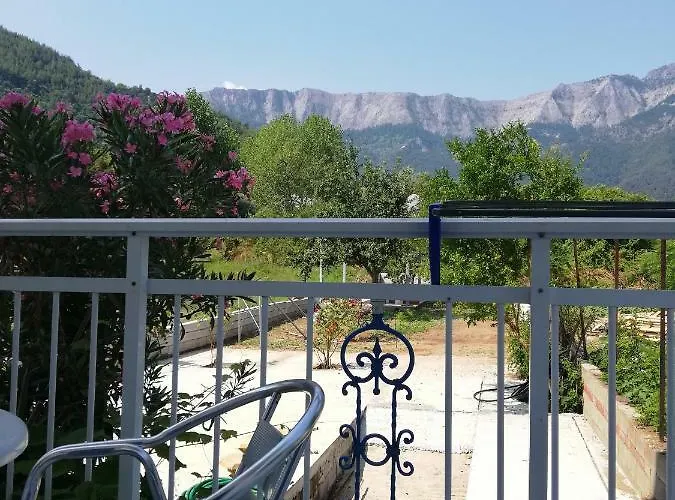 Vangelis 스칼라 포타미아스