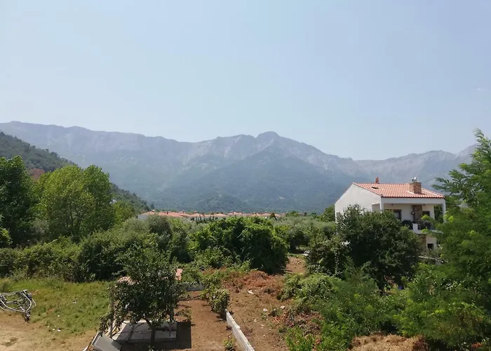 Vangelis Skala Potamia